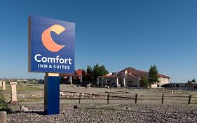 Comfort Inn Alamosa Colorado